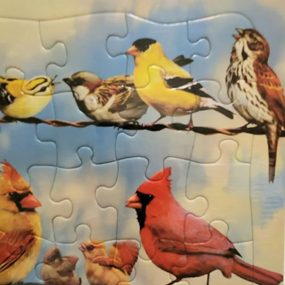 NEW Cobble Hill Tray Puzzle Blue Sky Birds